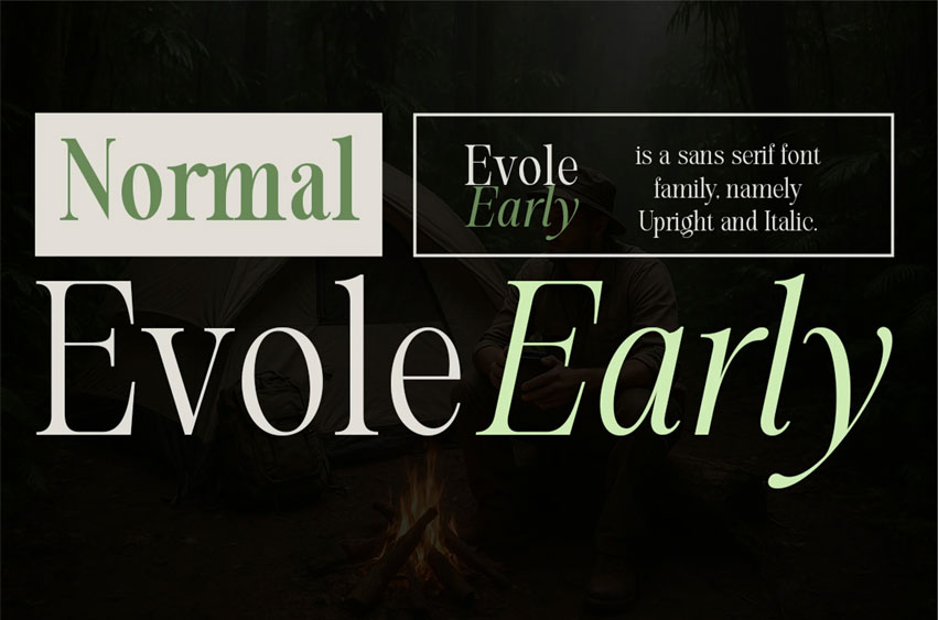 Evolve Early Normal Font