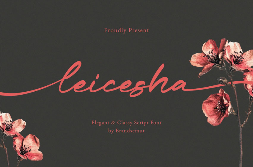 Leicesha Font