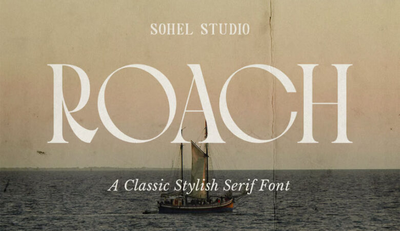 Roach Font