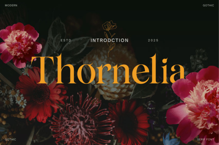 Thornelia Font