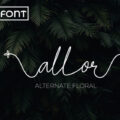 Allor Font