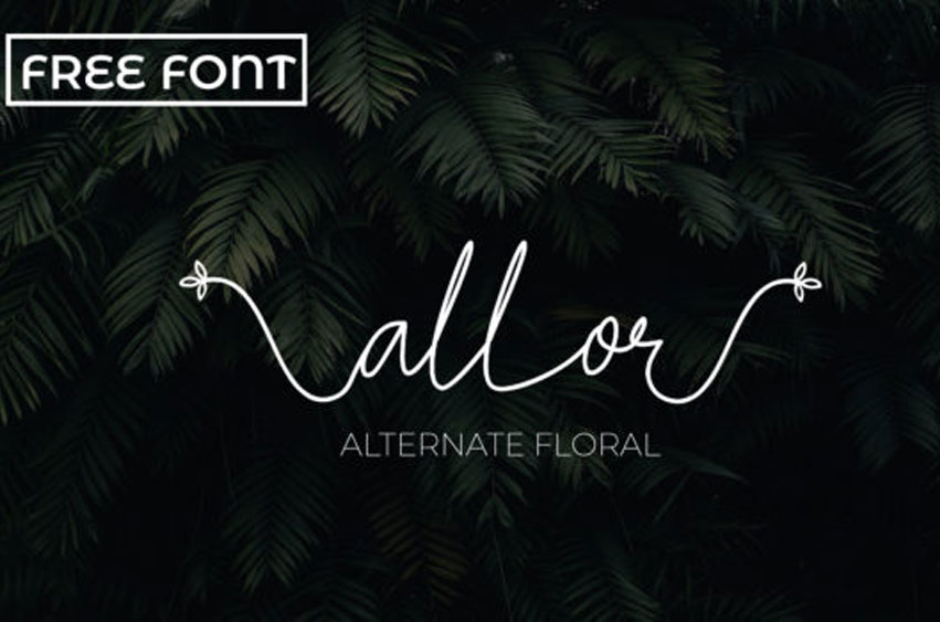 Allor Font