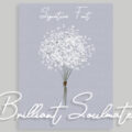 Brilliant Soulmate Font