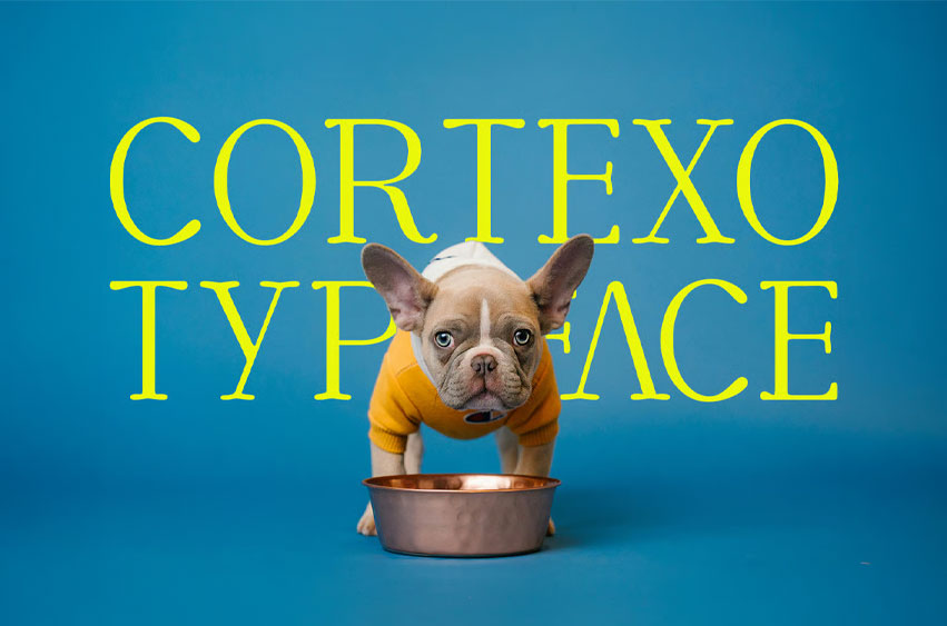 Cortexo Typeface Font