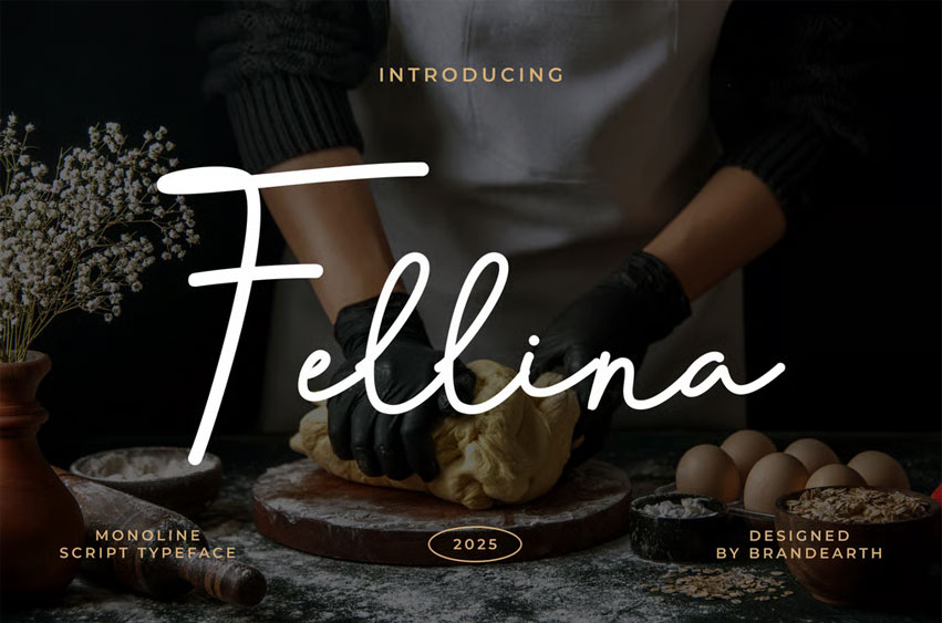 Fellina Font