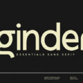 Ginder Font