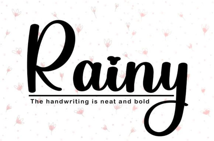 Rainy Bold Font