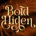 Bold Hiden Font