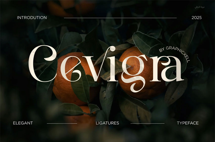 Cevigra Font