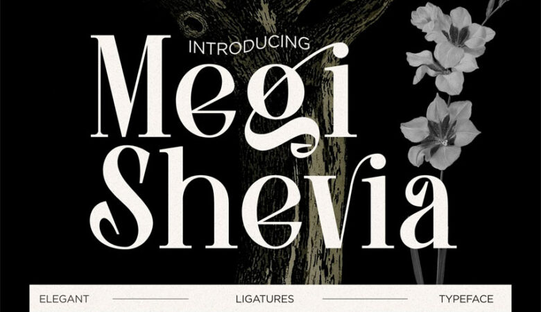 Megi Shevia Font