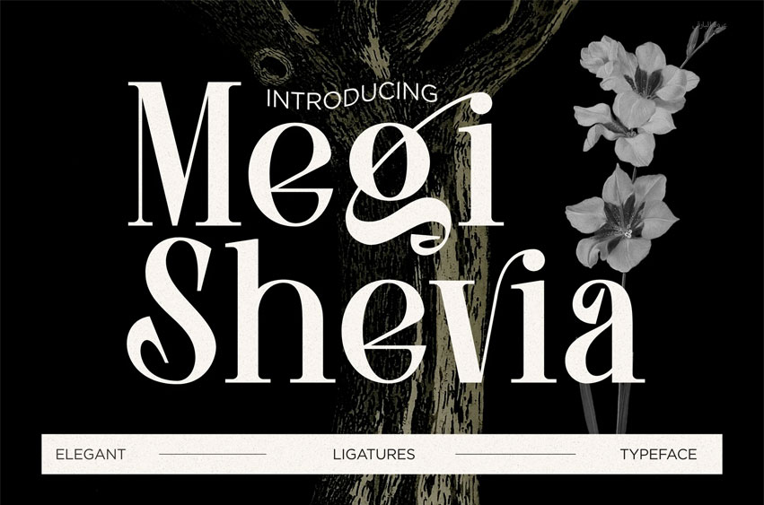 Megi Shevia Font