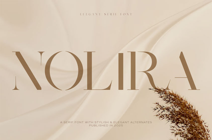 Nolira Font