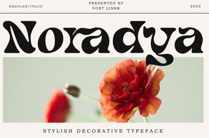 Noradya Font