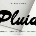 Pluid Font
