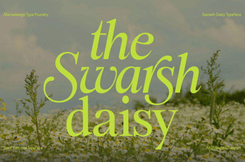 Swarsh Daisy Font