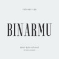 Binarmu Font