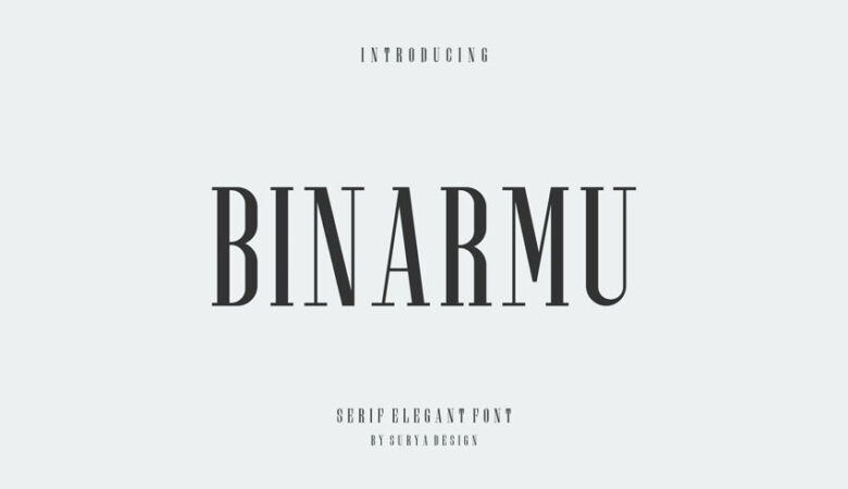 Binarmu Font