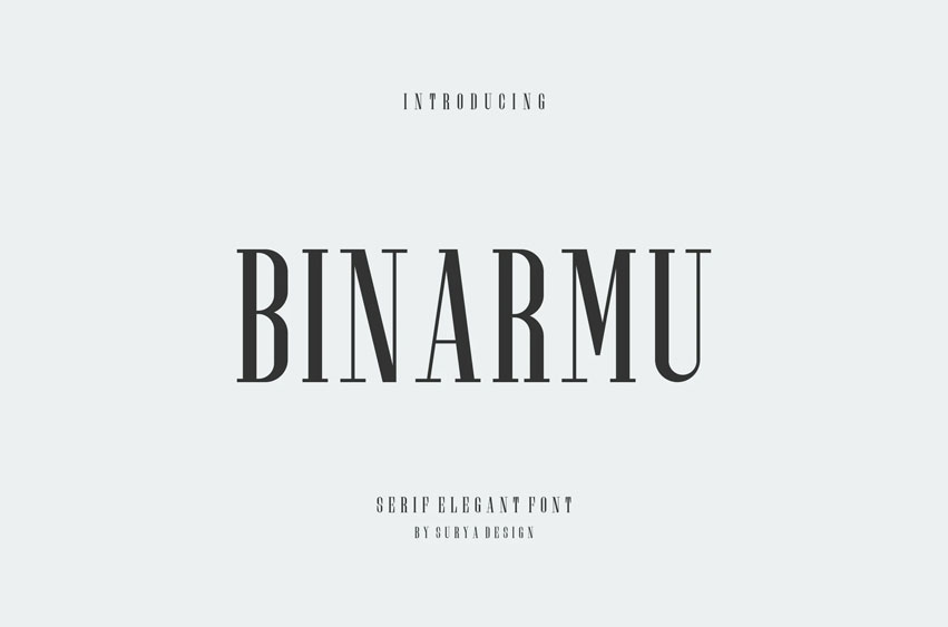 Binarmu Font