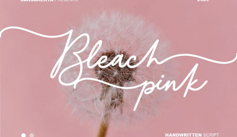 Bleach Pink Font