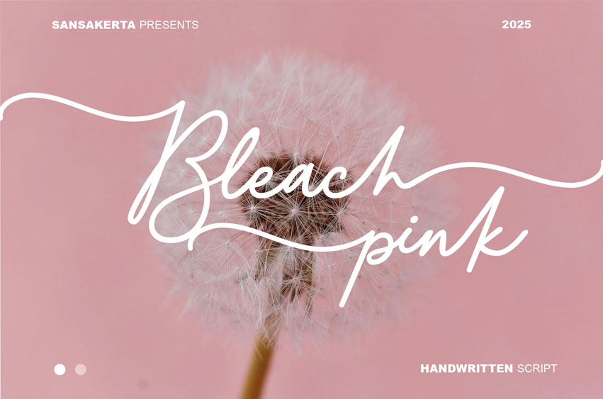 Bleach Pink Font