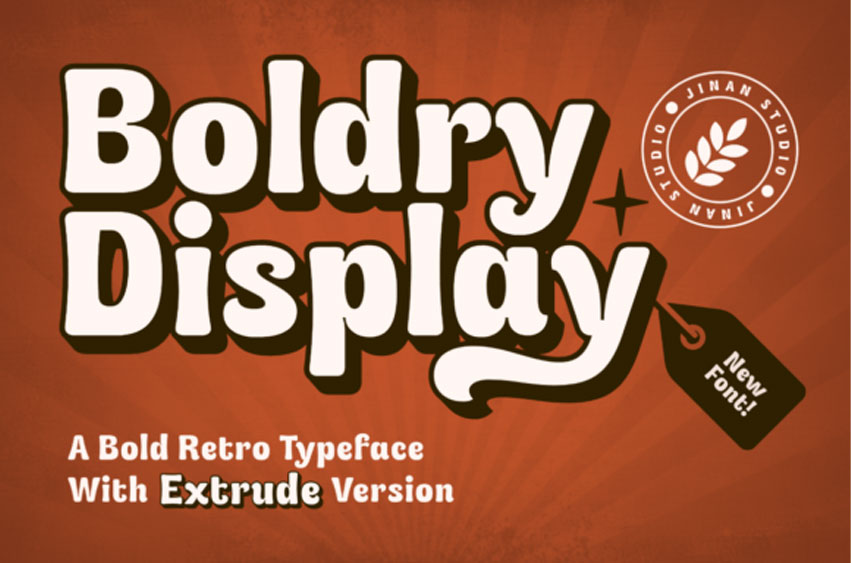 Boldry Display Font
