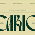 Cario Bold Font