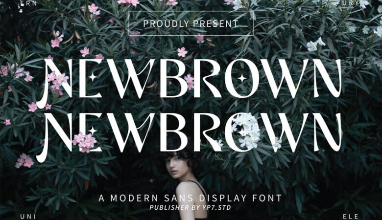 Newbrown Font