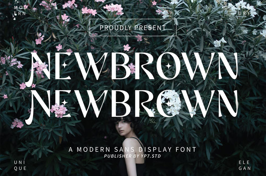 Newbrown Font
