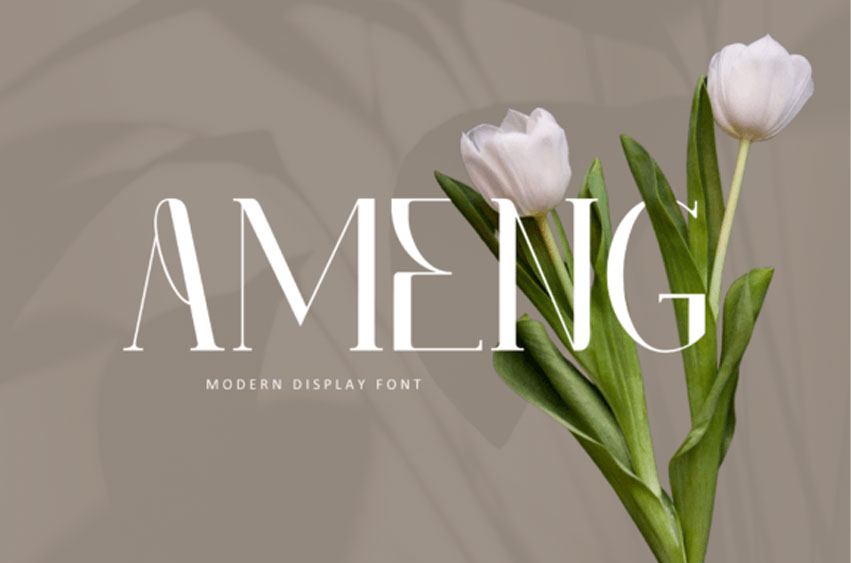Ameng Font