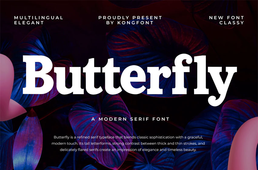 Butterfly Modern Font
