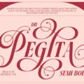Pegita Semi Bold Font