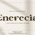 Enerencia Font