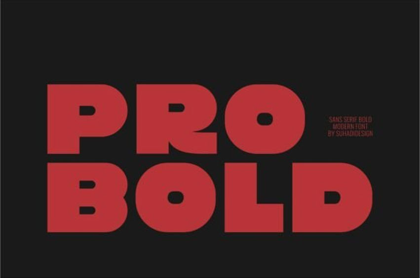 Pro Bold Font