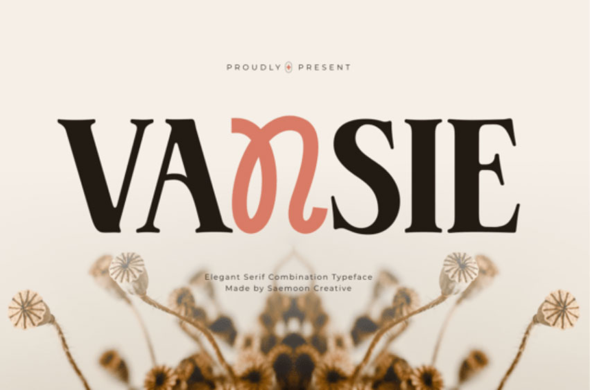 Vansie Font