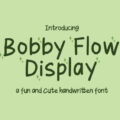 Bobby Flow Display Font