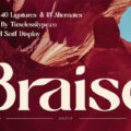 Braise Font