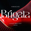 Brigata Font