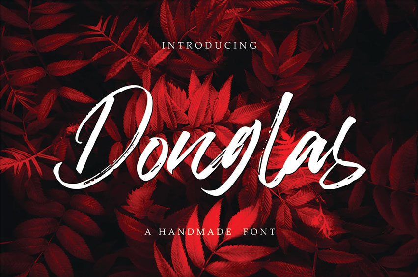 Donglas Brush Font