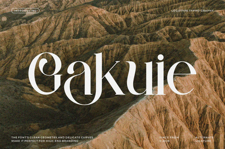 Gakuie Font