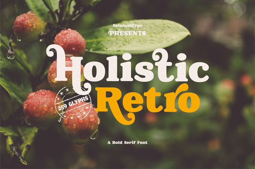 Holistic Retro Font