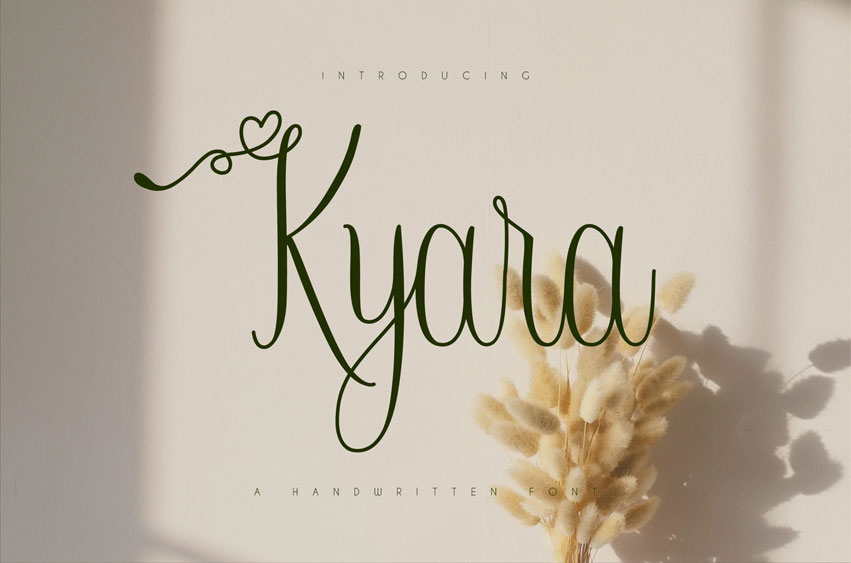 Kyara Font