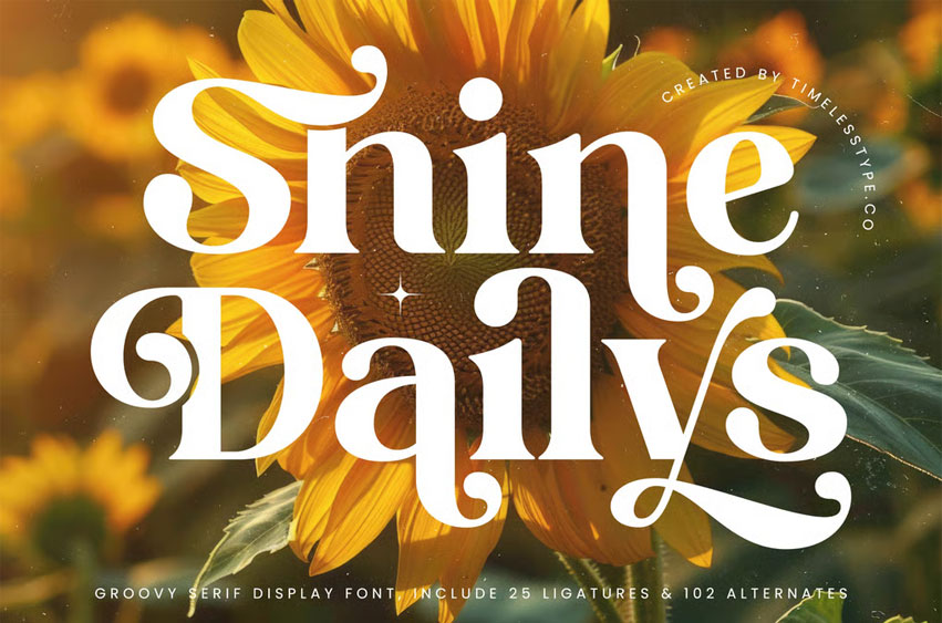 Shine Dailys Font