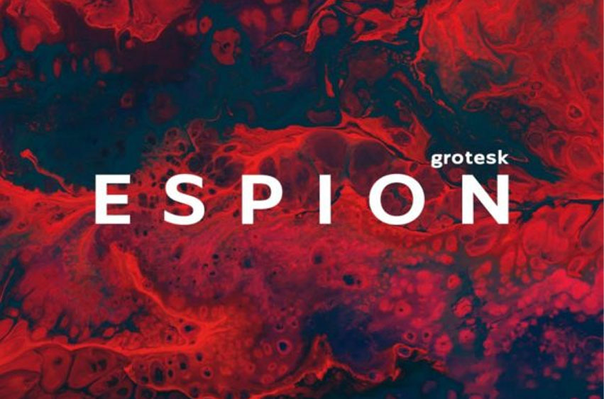 Espion Grotesk Font