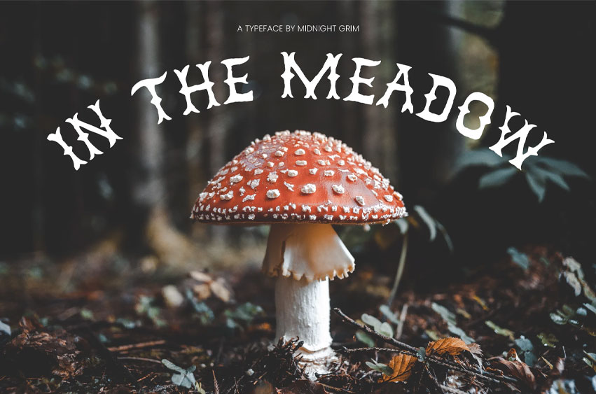 In the Meadow Font