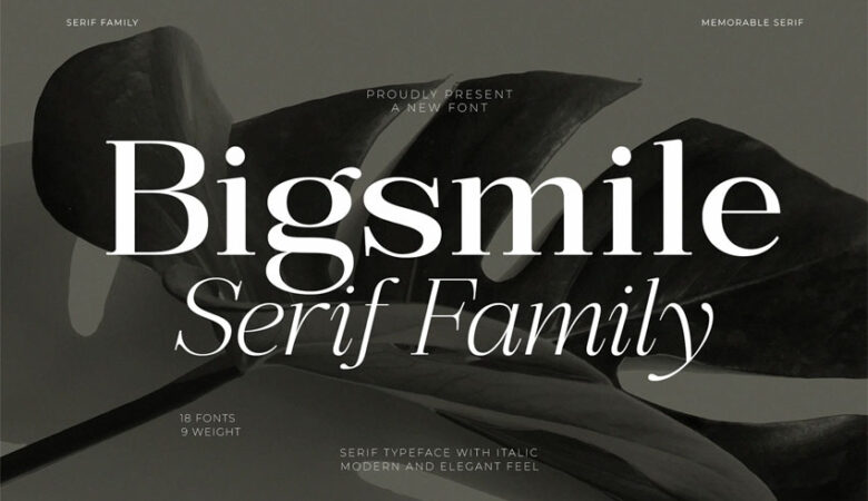 Bigsmile Font