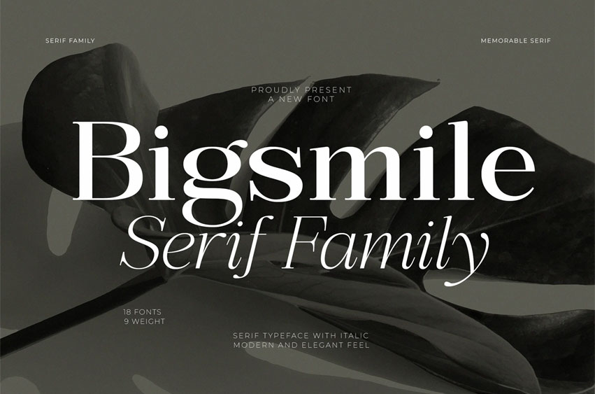 Bigsmile Font