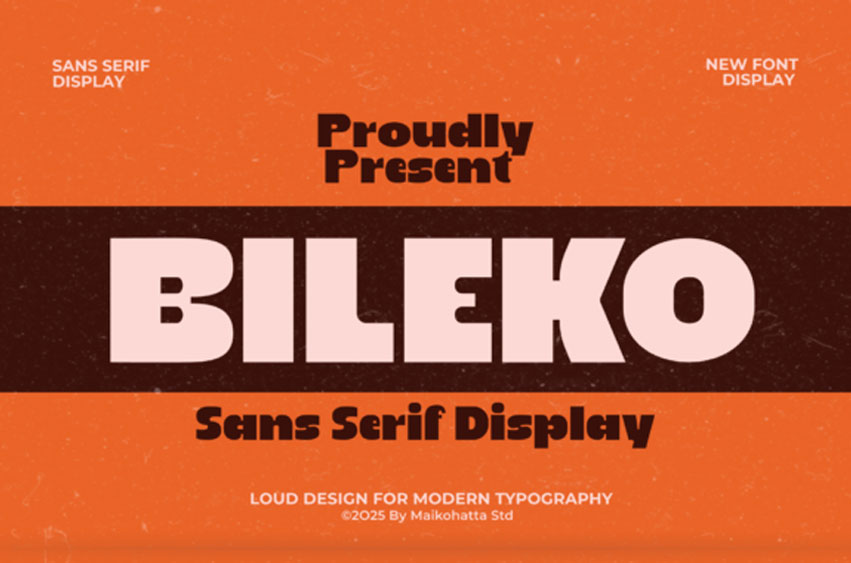 Bileko Font