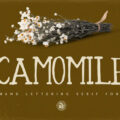 Camomile Font