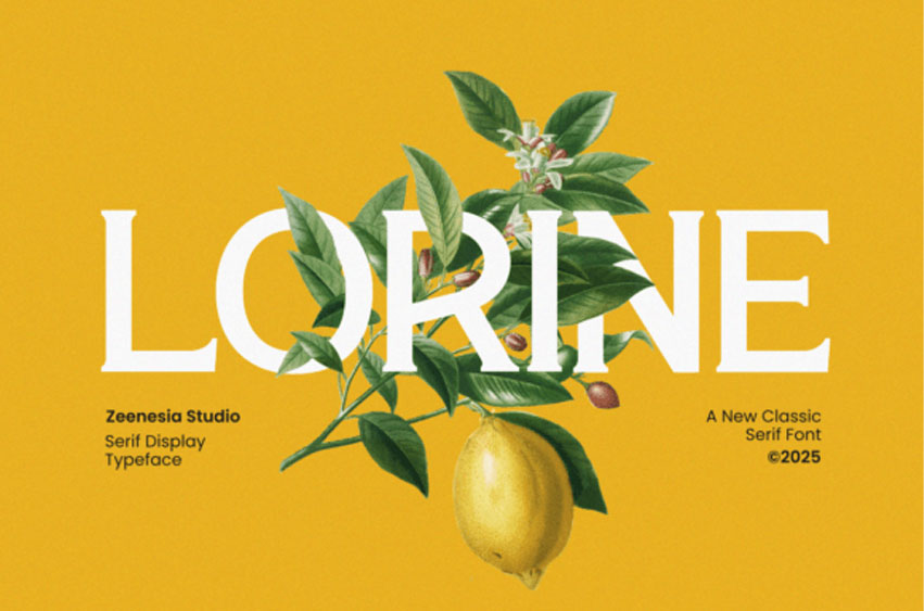 Lorine Font