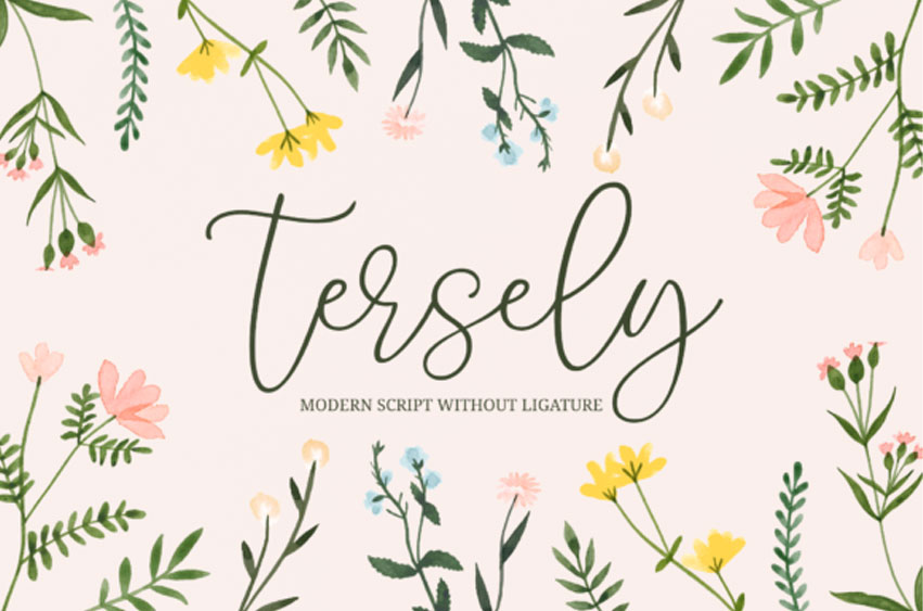 Tersely Font